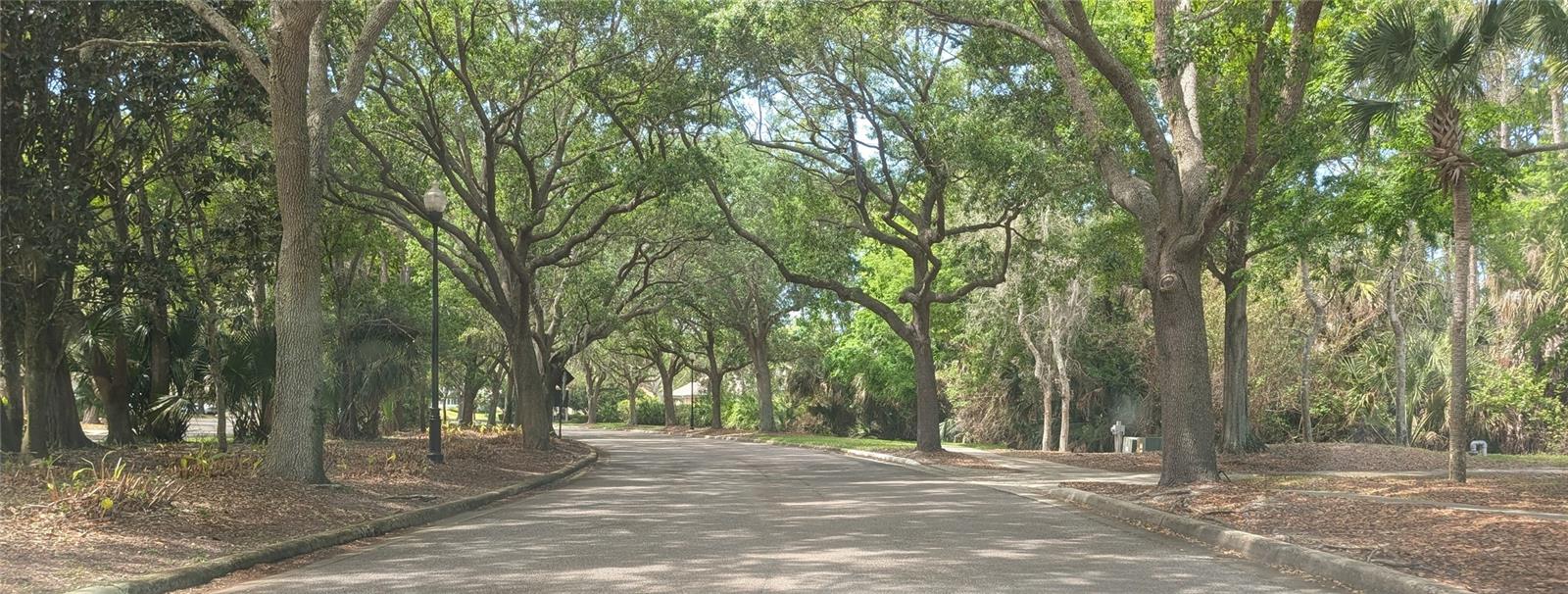 Image 30 of 37 For 19 River Landing Drive