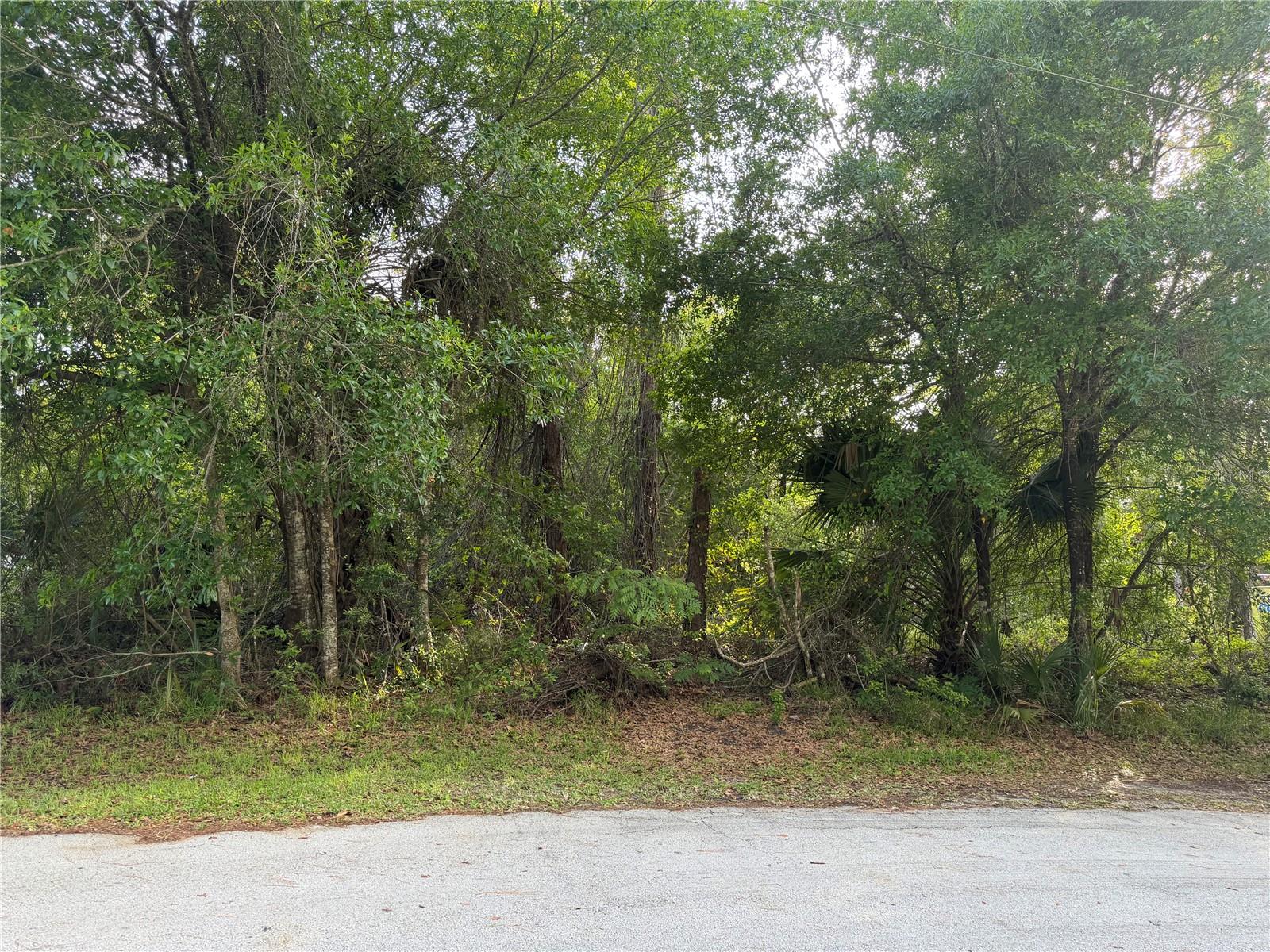 Details for 11 Patrick Place, PALM COAST, FL 32164