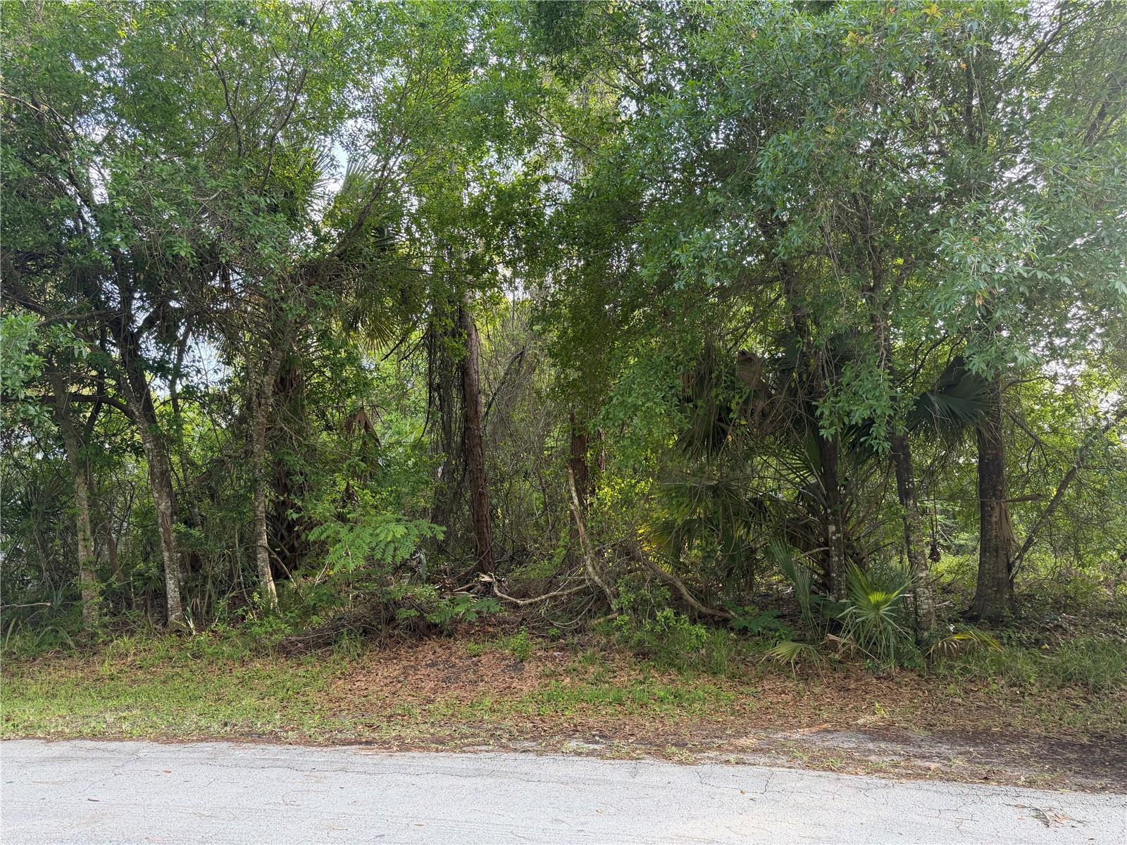 Image 4 of 6 For 11 Patrick Place