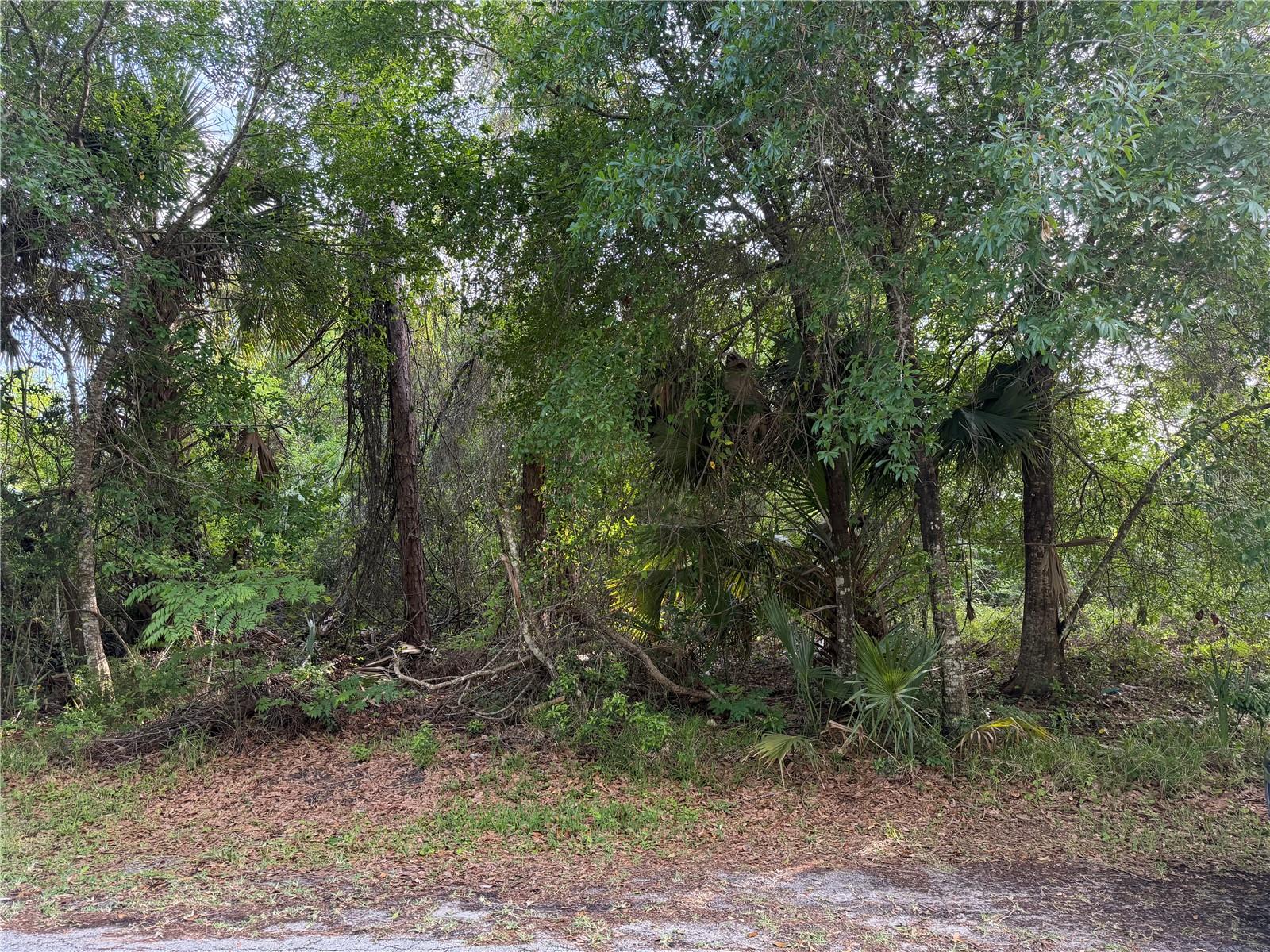 Image 5 of 6 For 11 Patrick Place