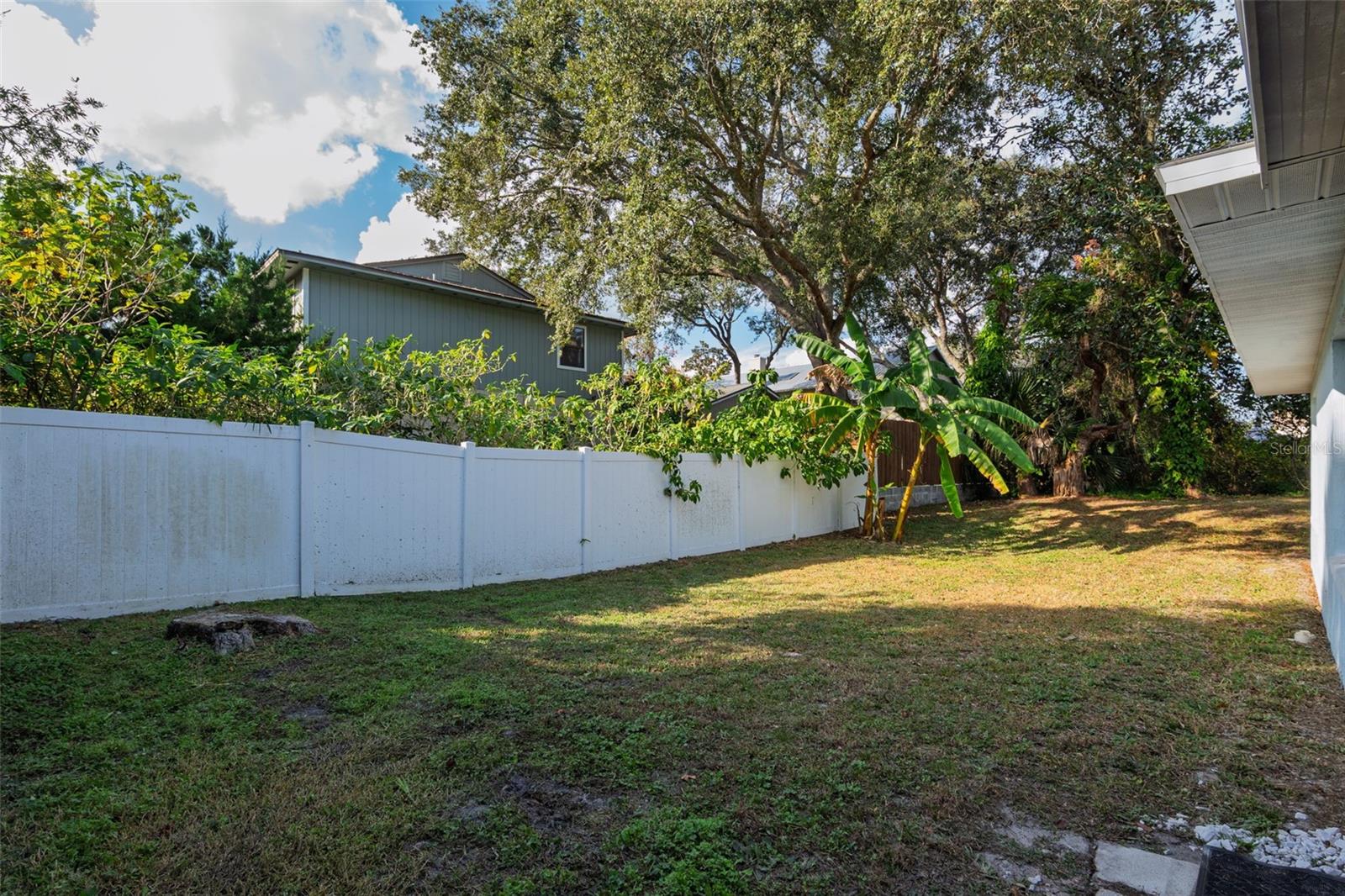 Image 42 of 47 For 16 Ewing Street