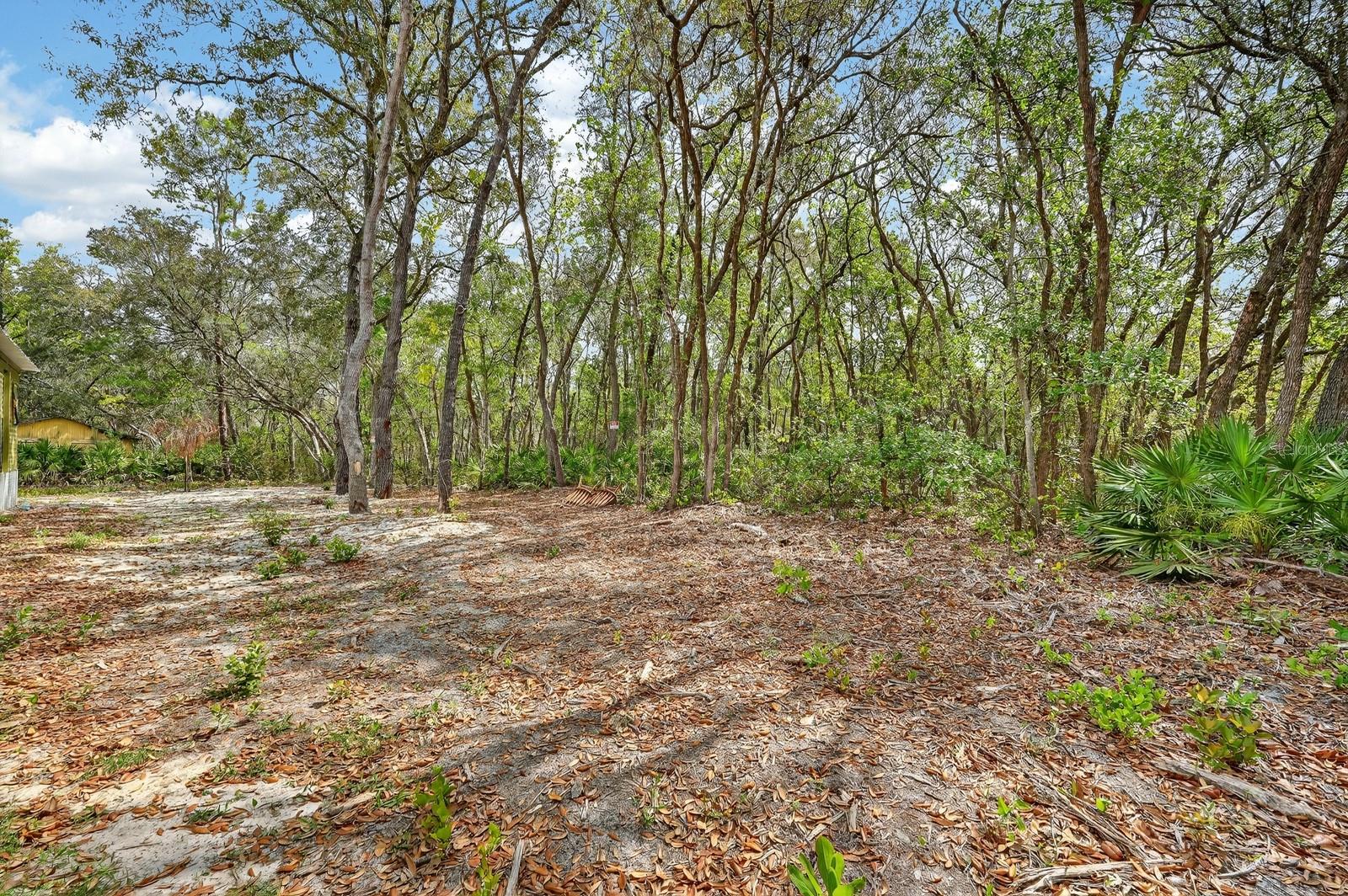 Image 24 of 39 For 112 Palmer Drive