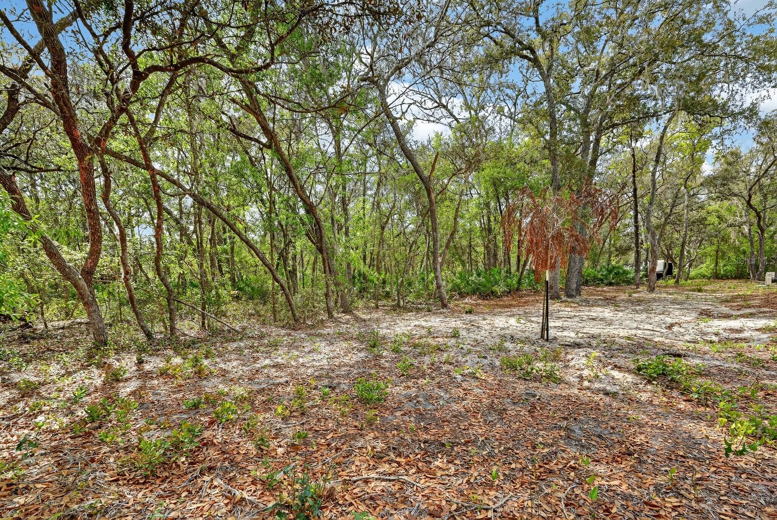 Image 25 of 39 For 112 Palmer Drive