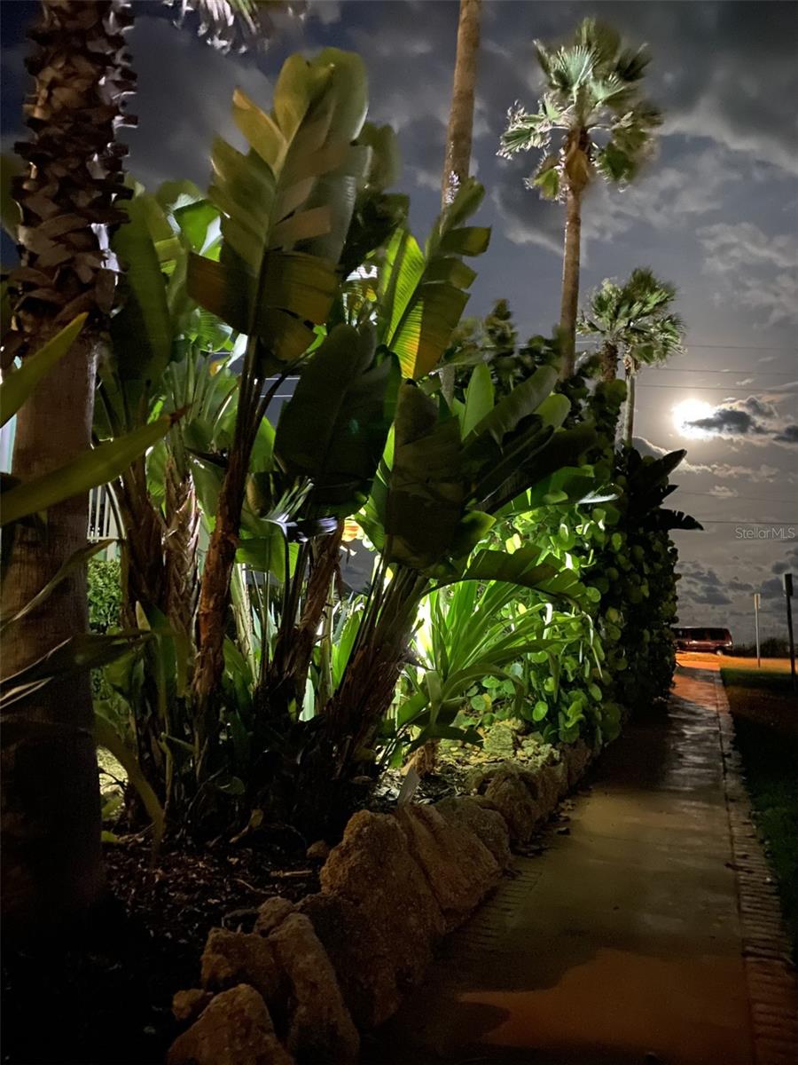 Image 25 of 51 For 3000 Ocean Shore Boulevard 150