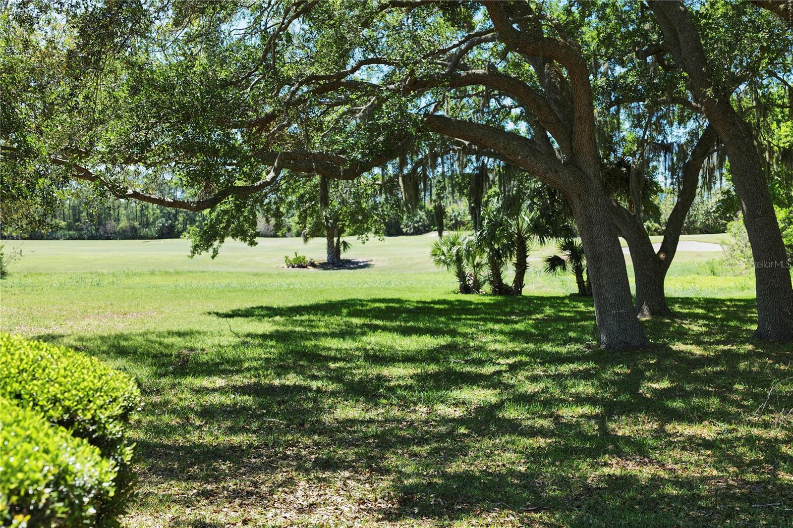 Image 29 of 39 For 16 Lagare Street