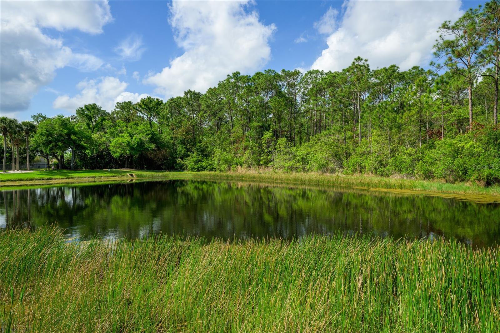 Image 11 of 59 For 6282 Paradise Island Court