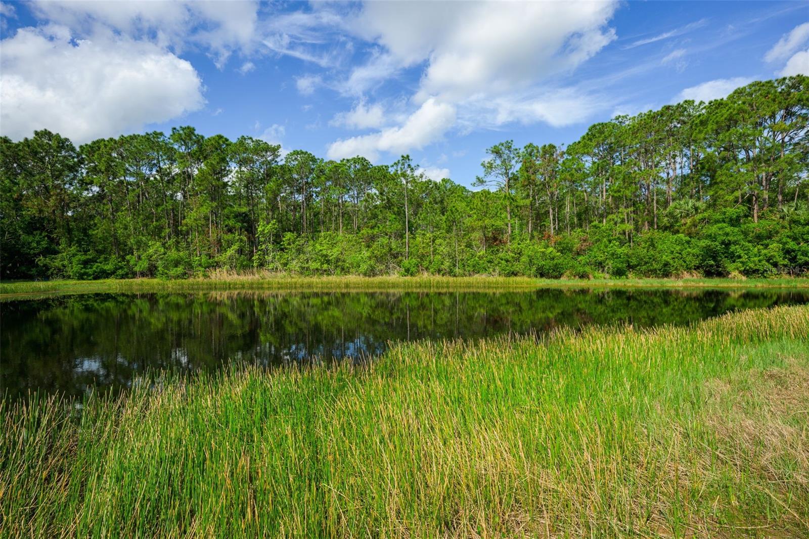 Image 8 of 59 For 6282 Paradise Island Court