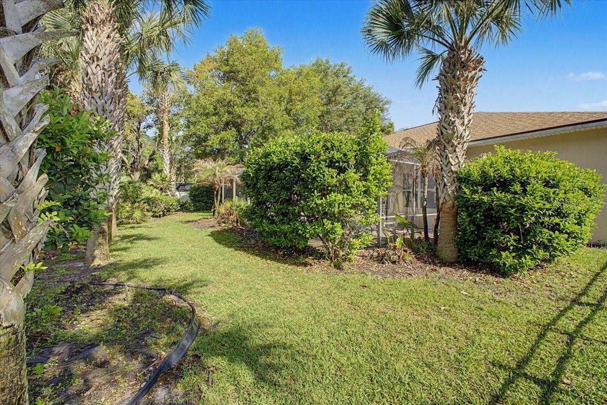 Image 45 of 50 For 11 Crescent Lake Way