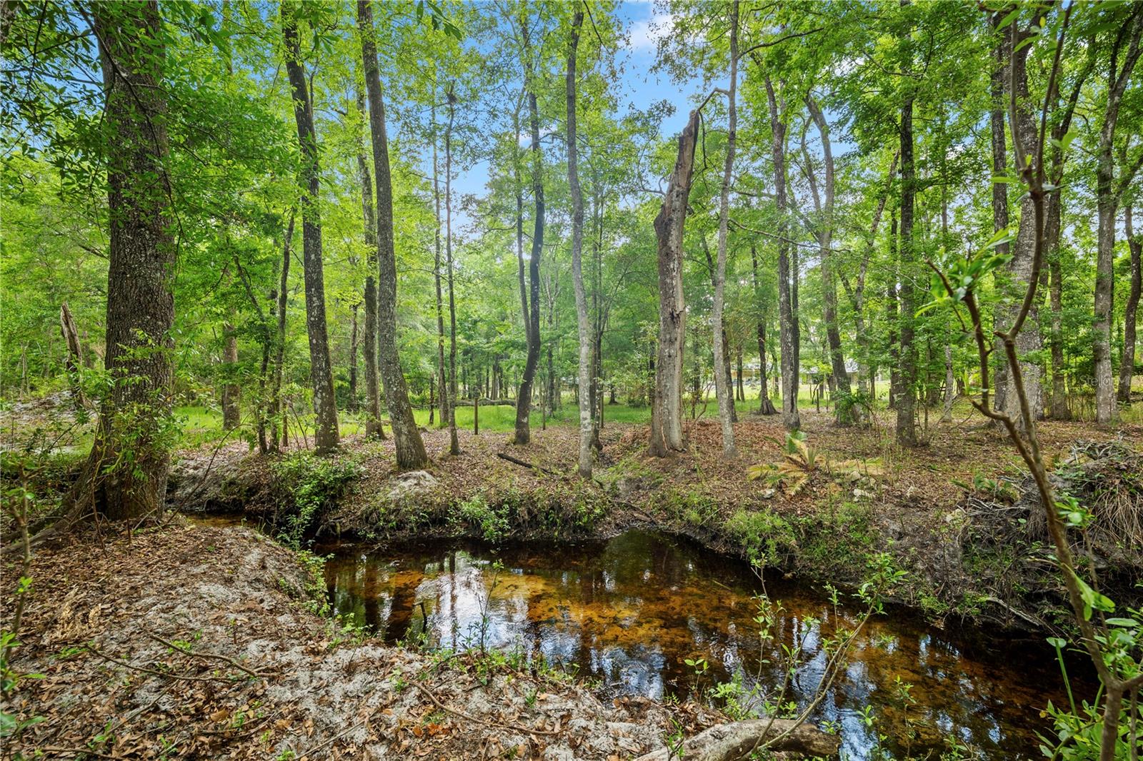 Listing photo id 56 for 6967 Sharron Road