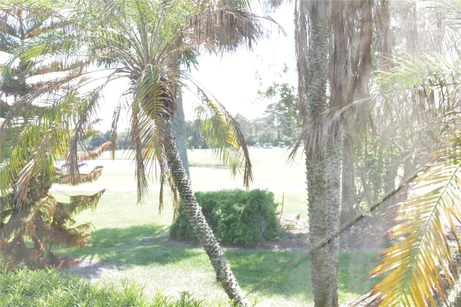 Image 37 of 43 For 82 Lagare Street