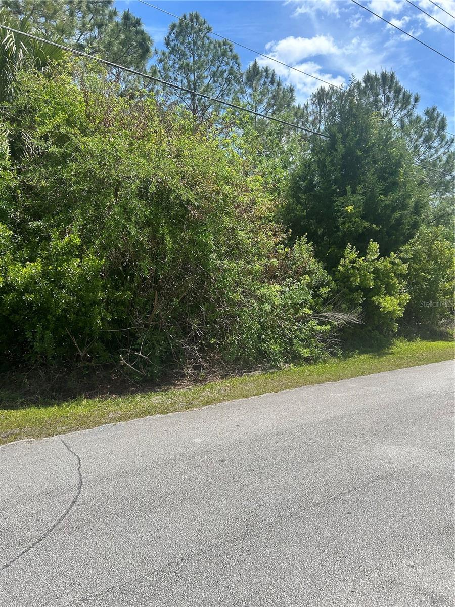 Image 4 of 4 For 27 Birchwood Drive