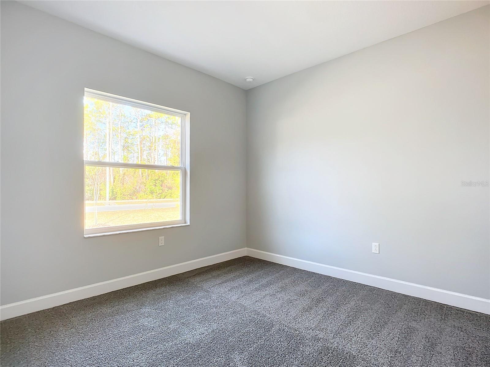 Image 46 of 75 For 16 Egan Drive