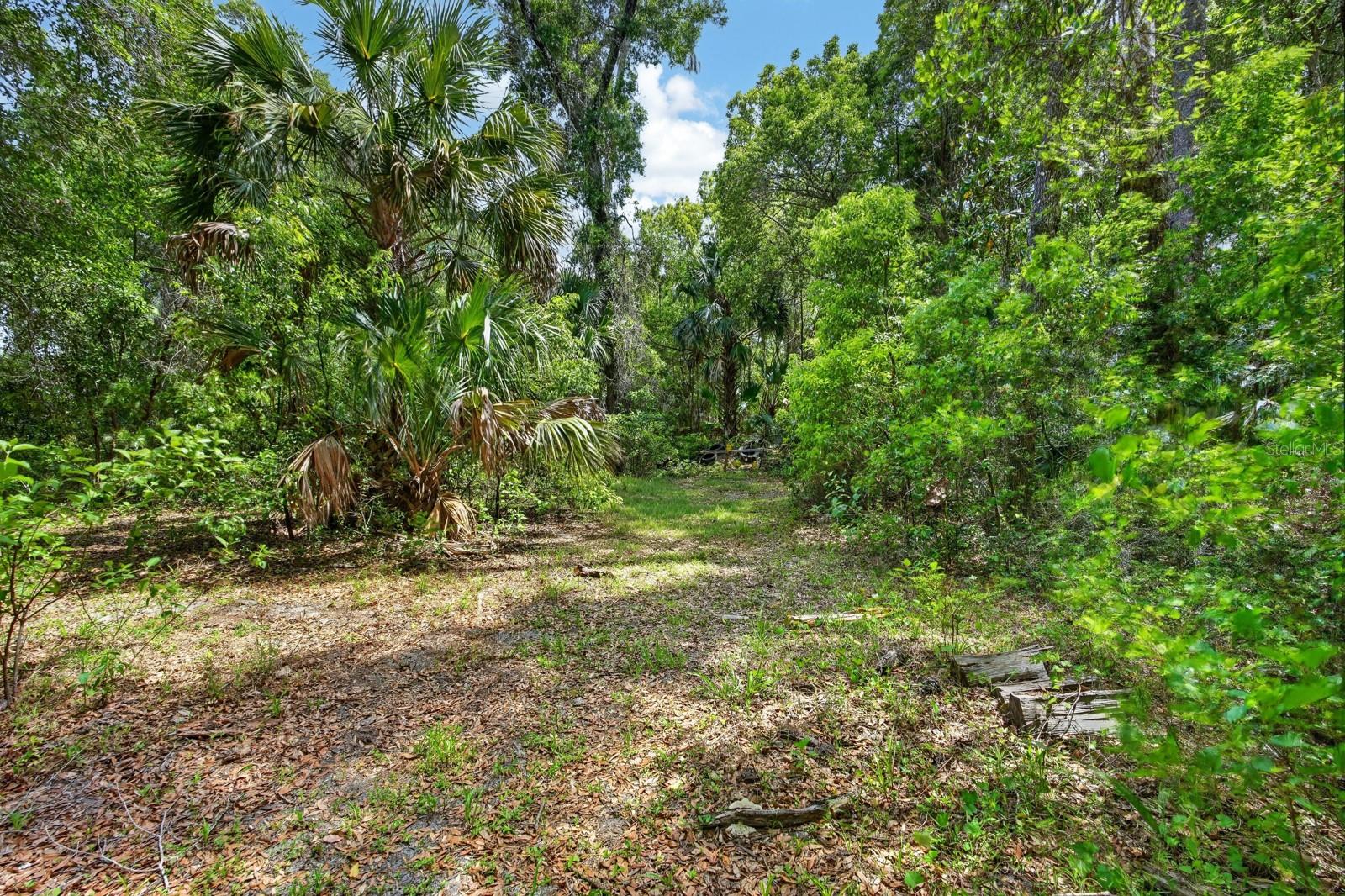 Image 65 of 76 For 1806 Glenwood Oaks Lane