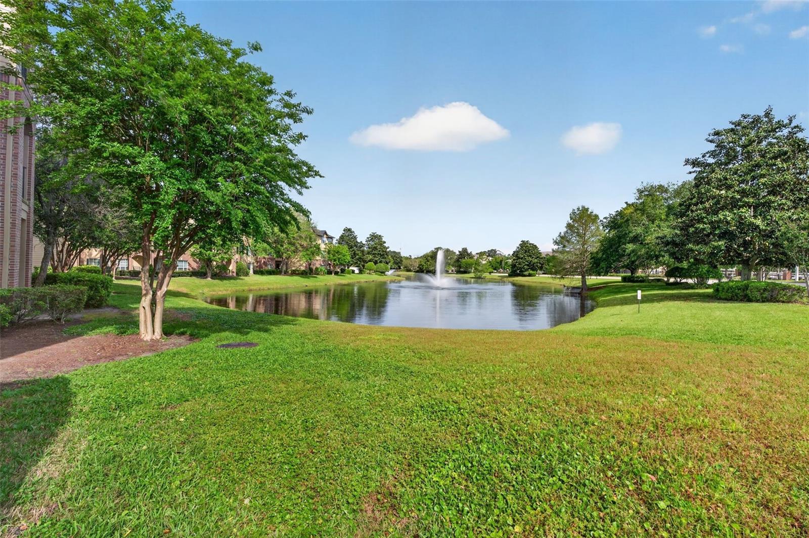 Image 38 of 78 For 7800 Point Meadows Drive 1338