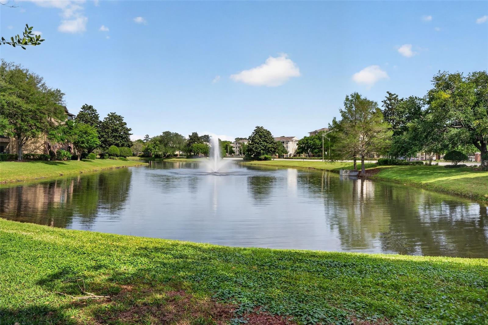 Image 60 of 78 For 7800 Point Meadows Drive 1338