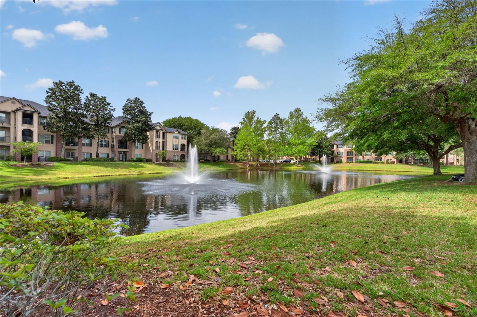 Image 61 of 78 For 7800 Point Meadows Drive 1338