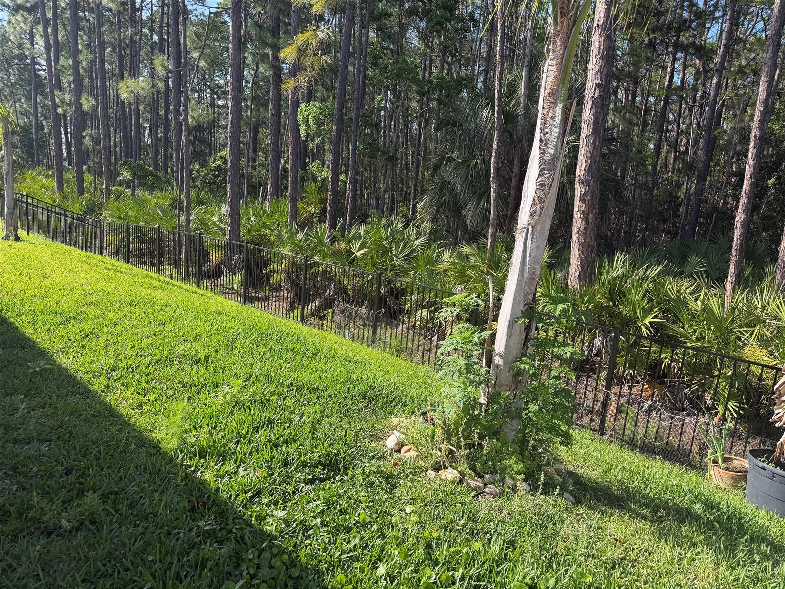 Image 8 of 8 For 1339 Morning Walk Drive