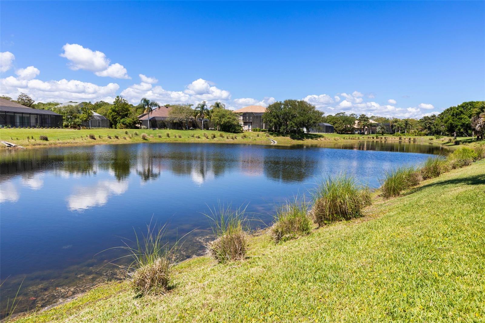 Image 70 of 100 For 37 Waterview Drive