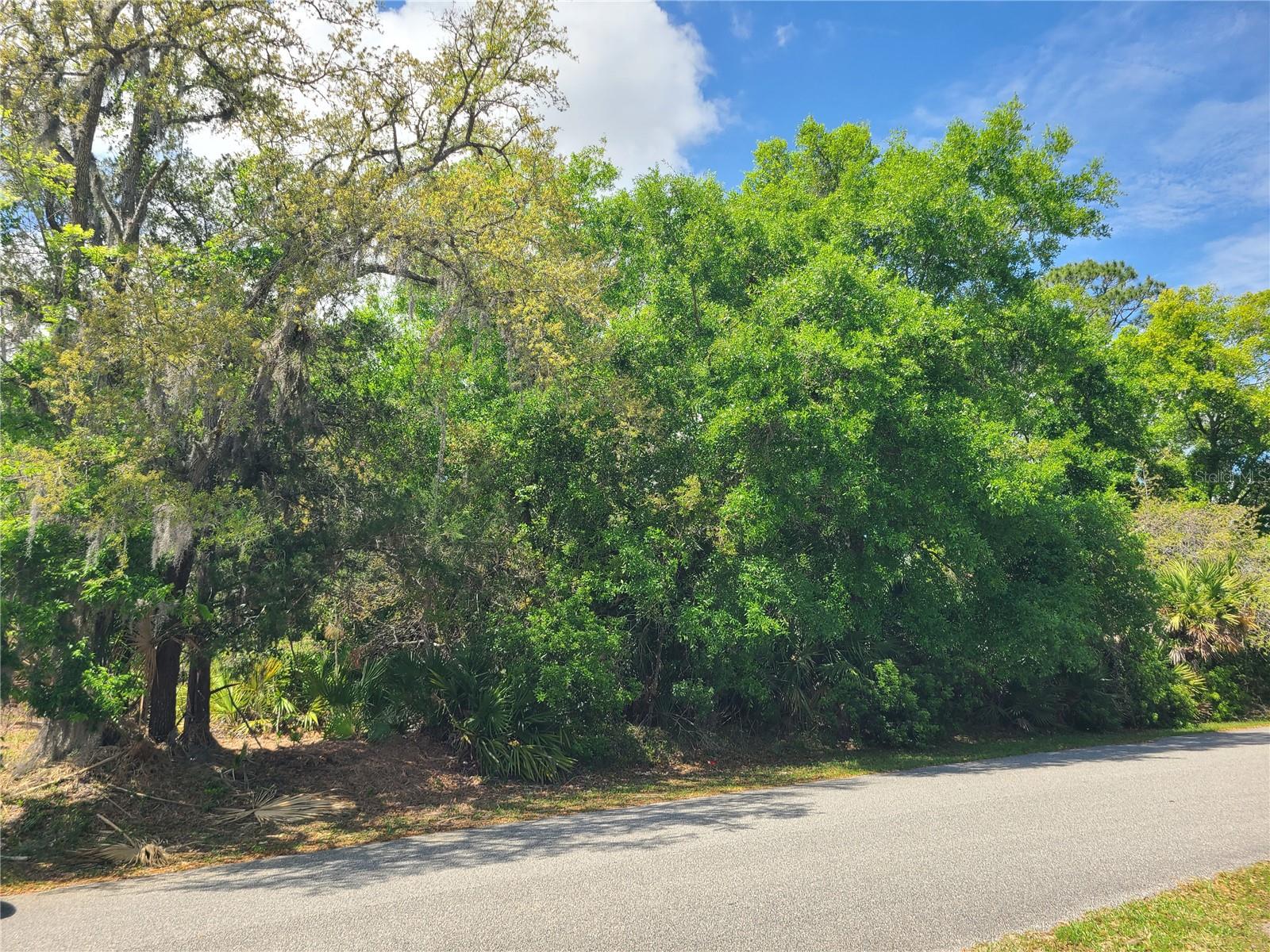 Details for 17 Farver Lane, PALM COAST, FL 32137