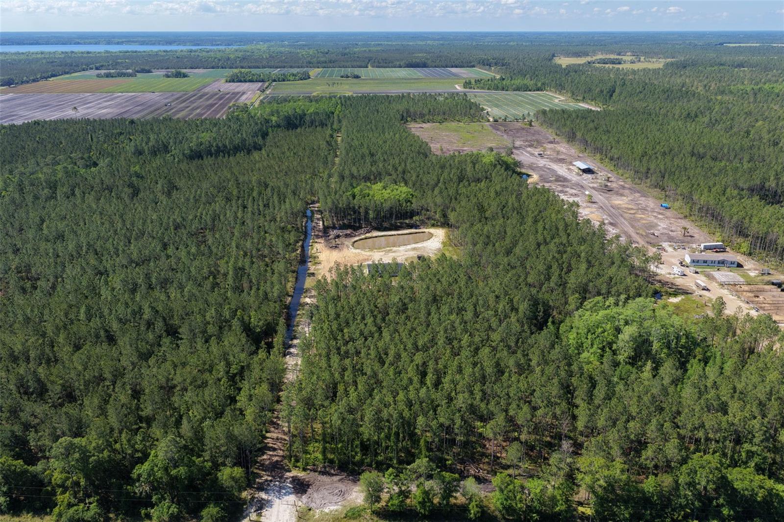 Image 50 of 62 For 15539 County Rd 305