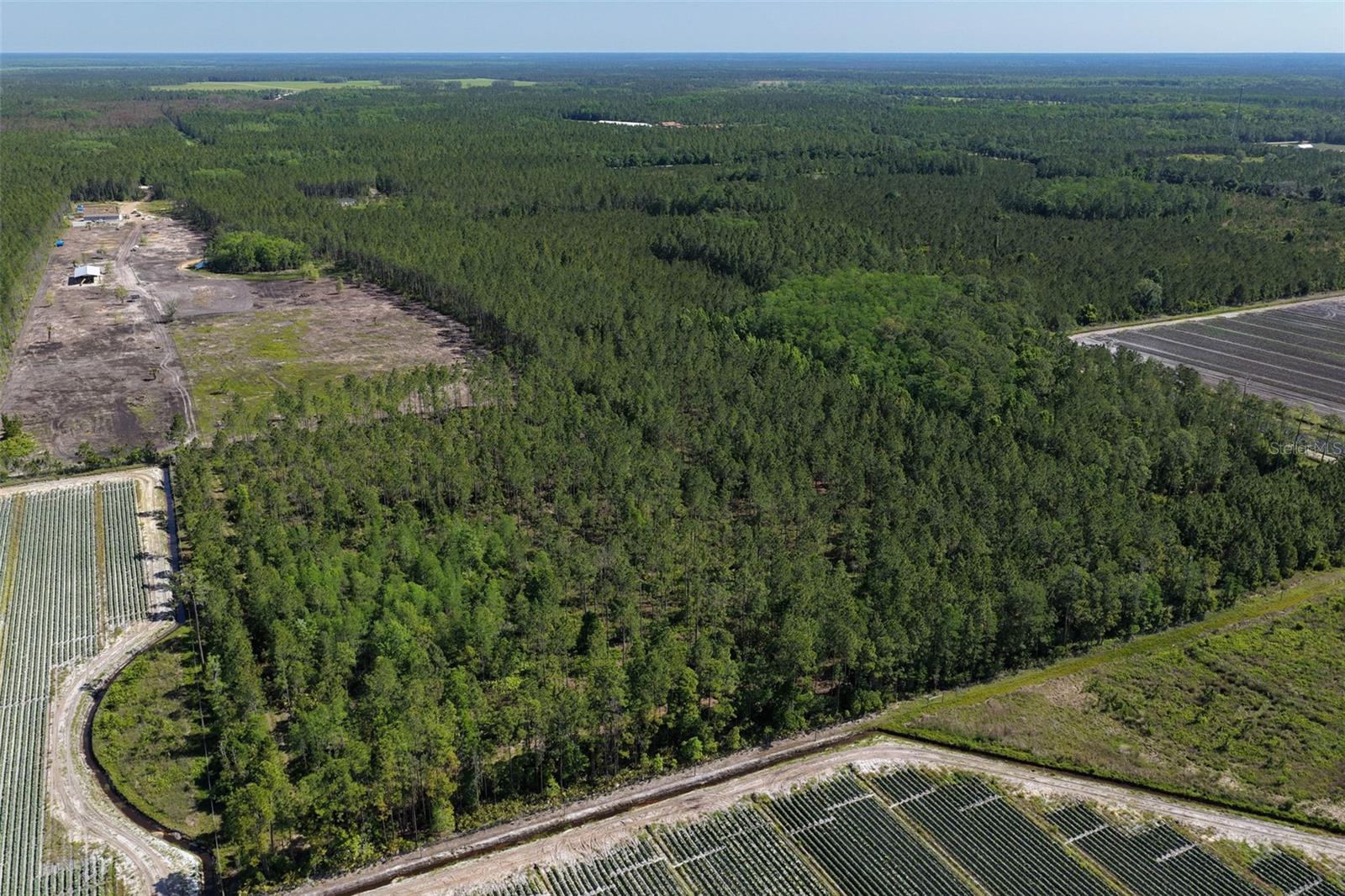 Image 54 of 62 For 15539 County Rd 305