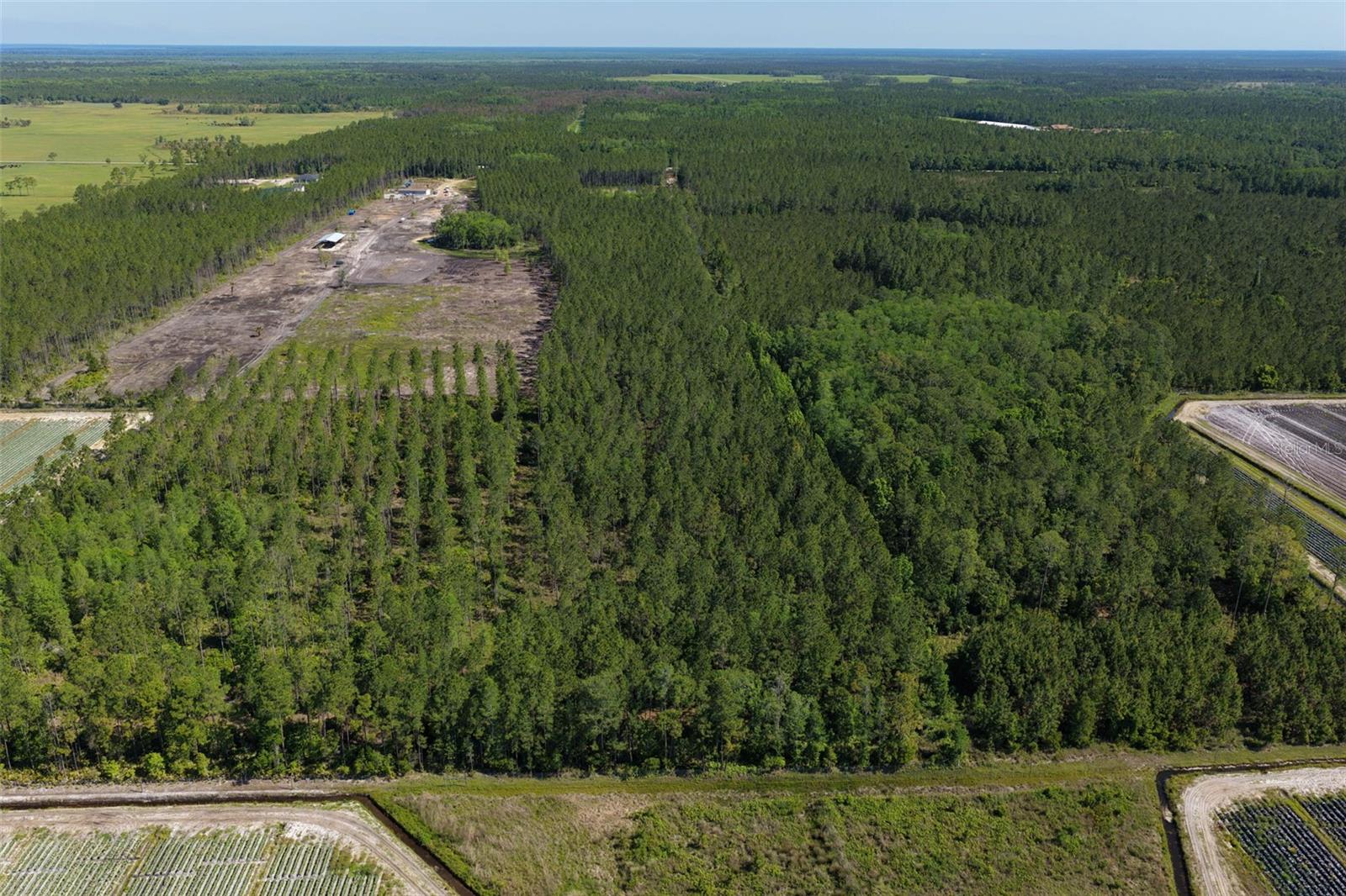 Image 56 of 62 For 15539 County Rd 305