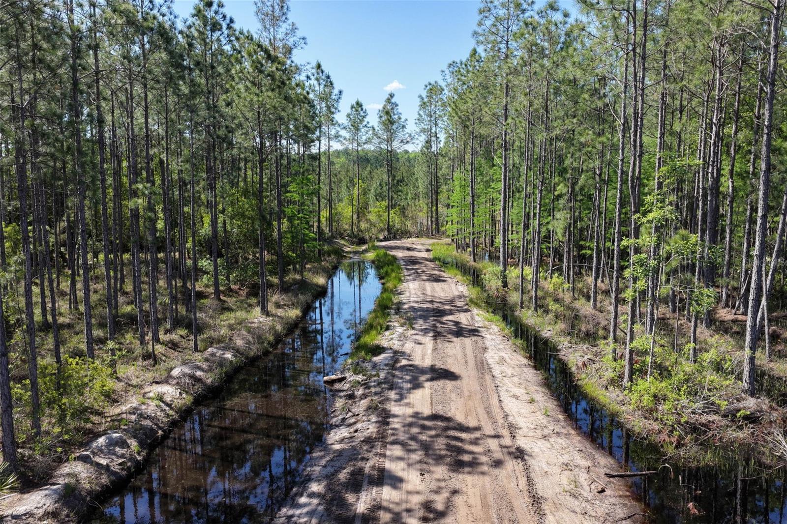 Image 59 of 62 For 15539 County Rd 305