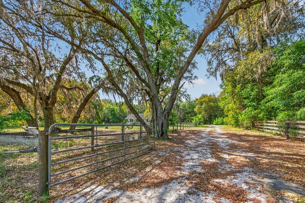 Image 6 of 71 For 461 Old Starke Road