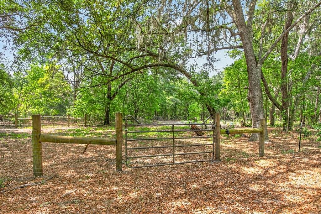 Image 67 of 71 For 461 Old Starke Road