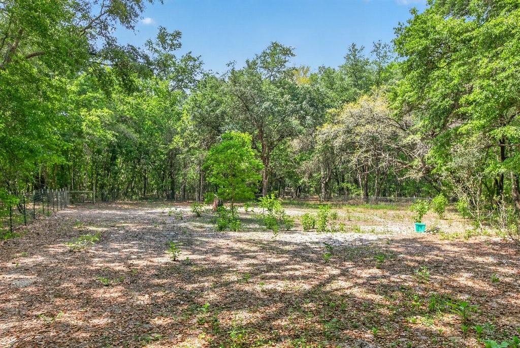 Image 69 of 71 For 461 Old Starke Road