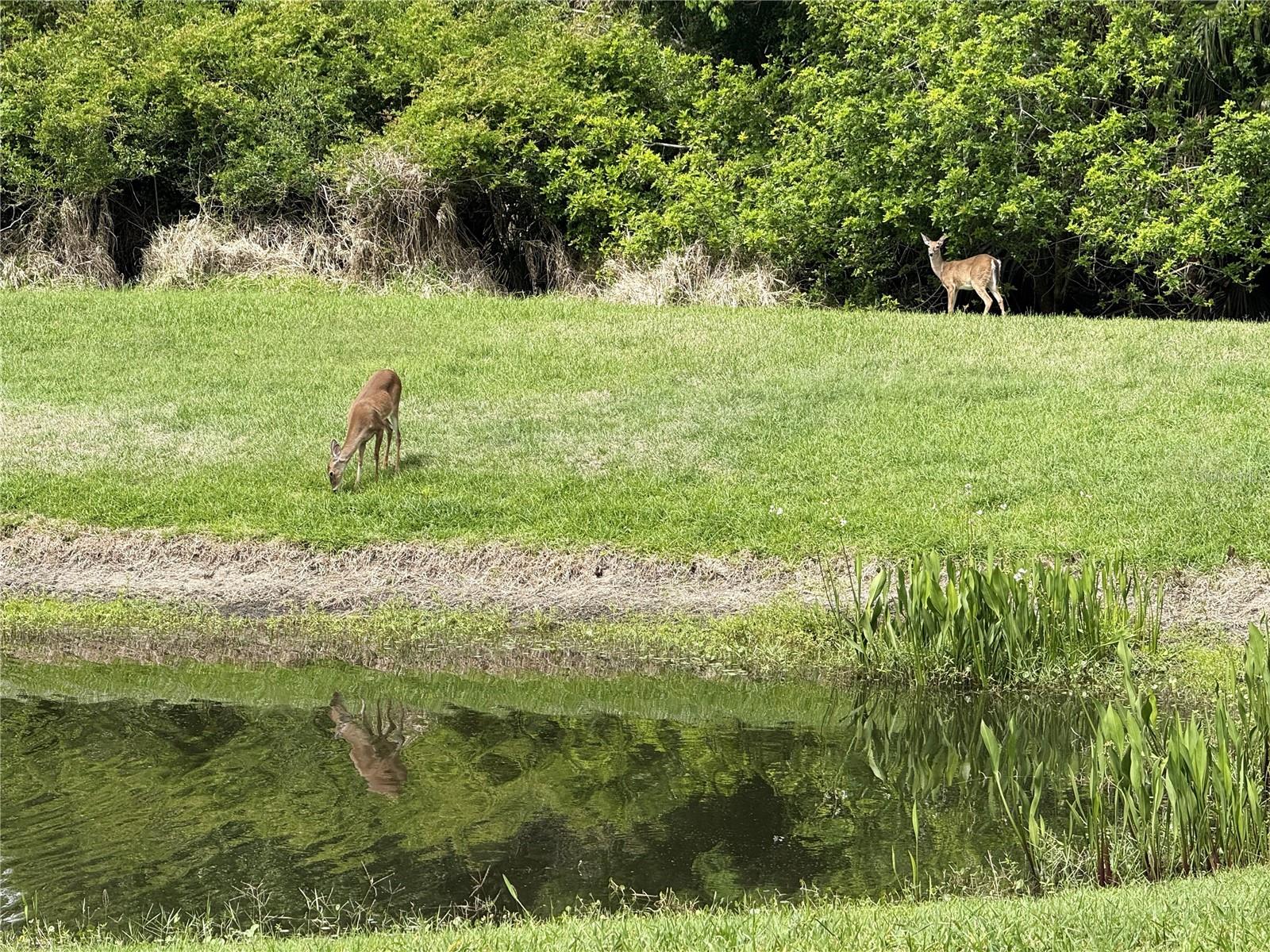 Image 19 of 49 For 25 Riverview Bend N 111