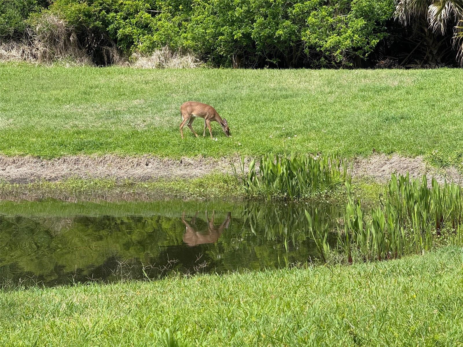 Image 6 of 49 For 25 Riverview Bend N 111