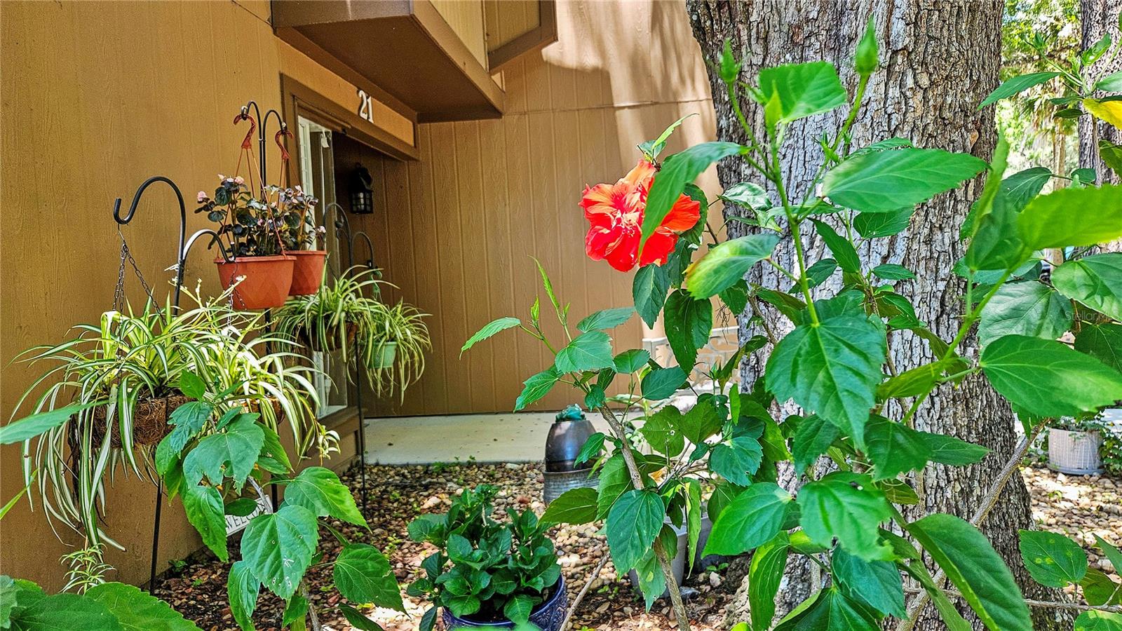 Image 37 of 39 For 21 Mid Pines Circle