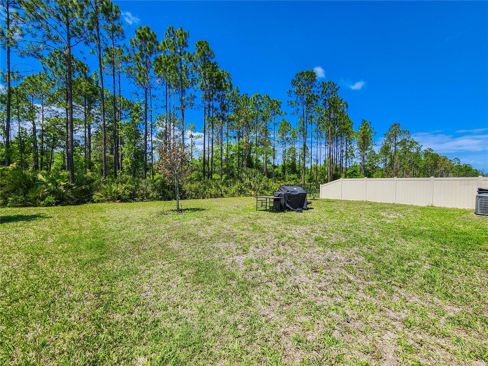 Image 49 of 58 For 617 Narvarez Avenue