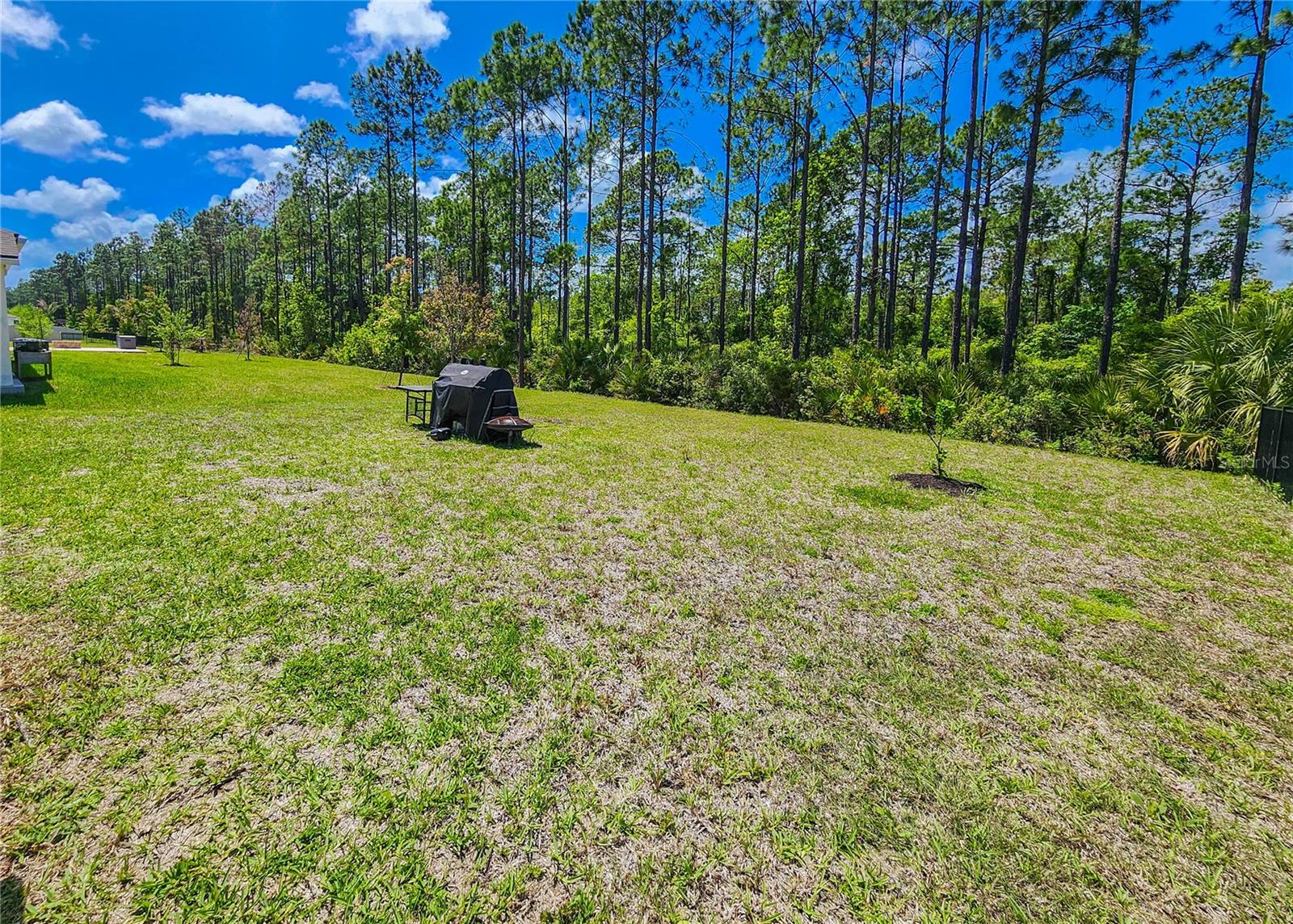 Image 53 of 58 For 617 Narvarez Avenue