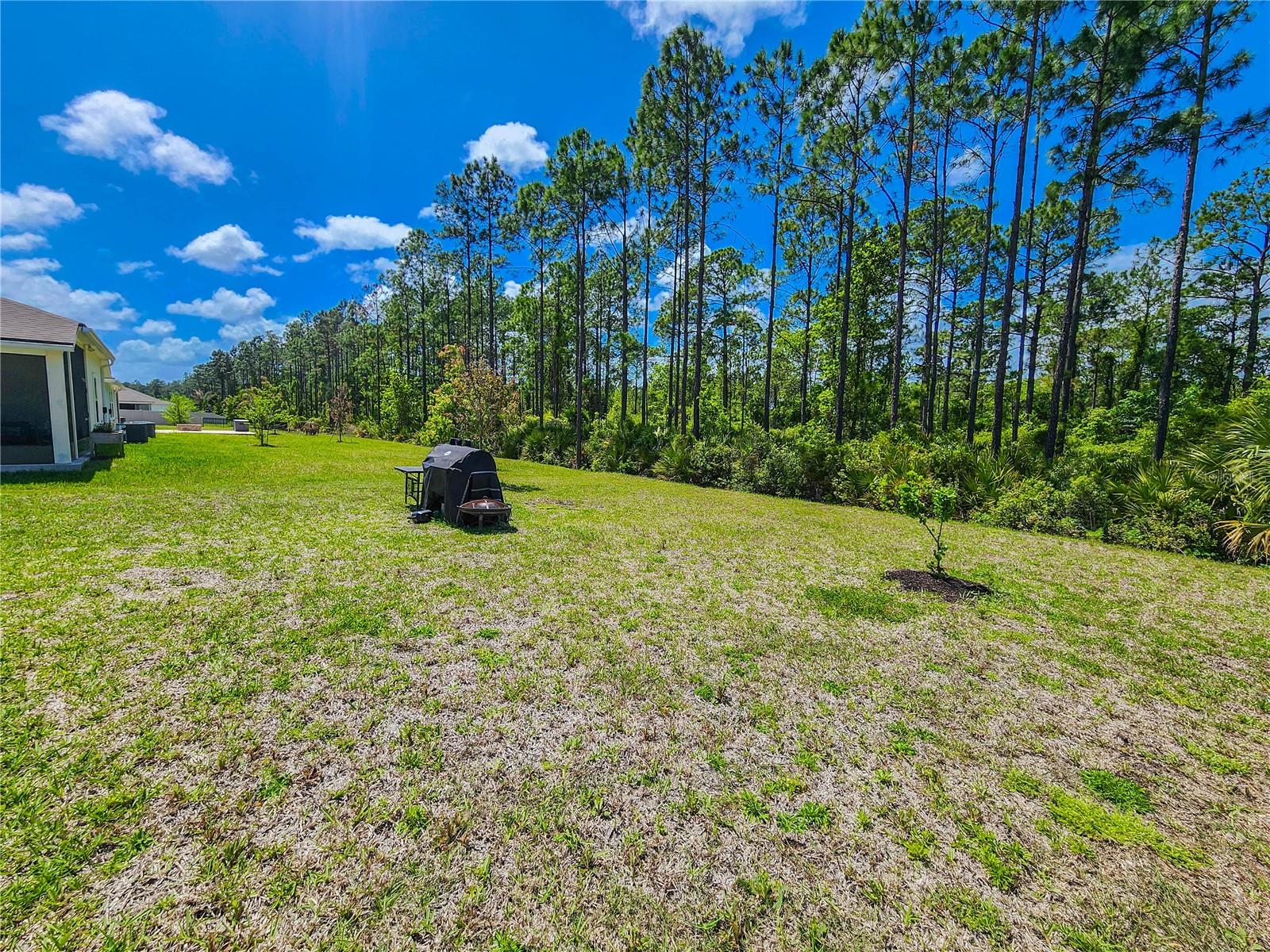 Image 54 of 58 For 617 Narvarez Avenue