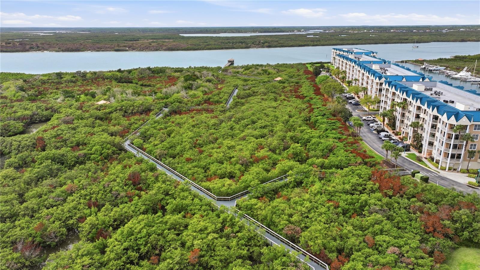 Image 50 of 64 For 4670 Links Village Drive B301