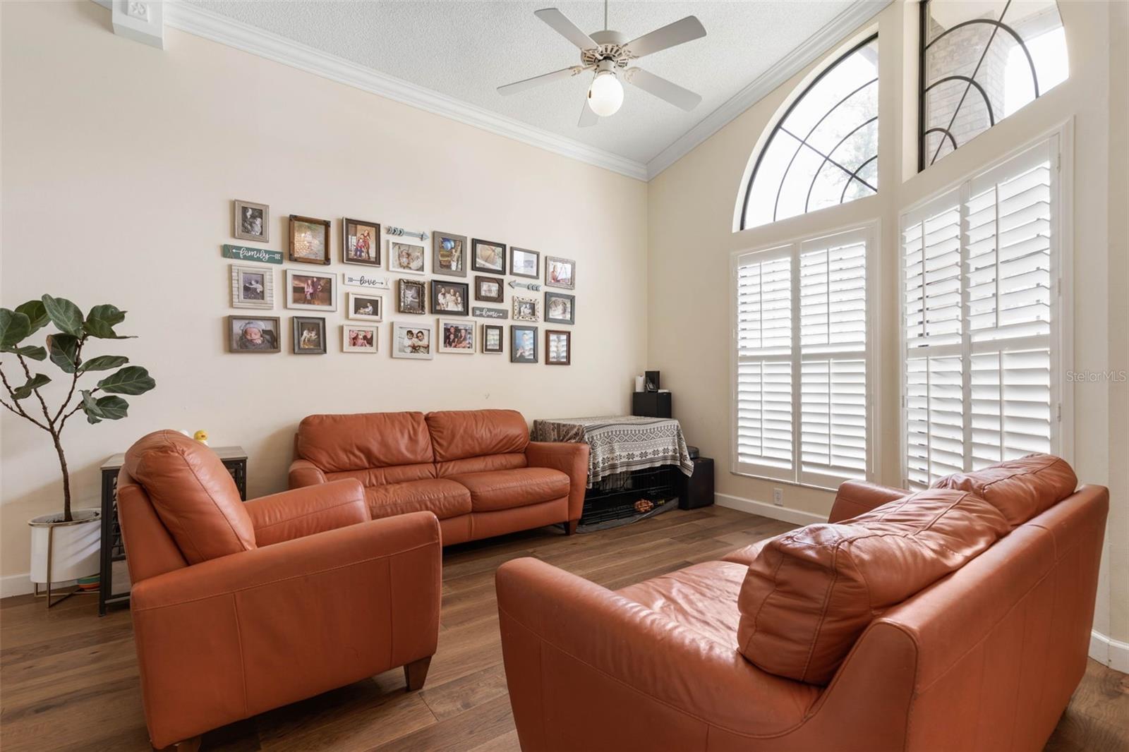 Image 9 of 75 For 30 Erickson Place