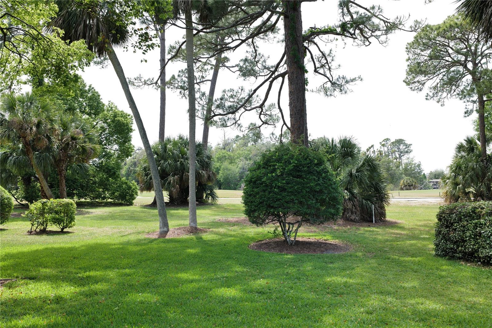 Image 13 of 31 For 15 Cole Place