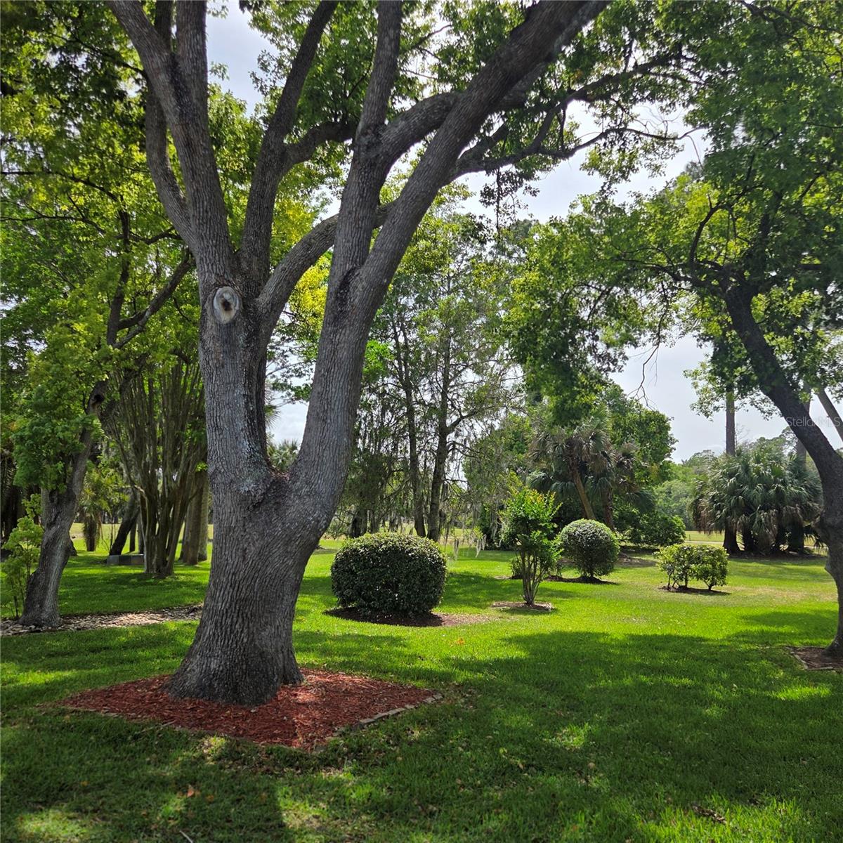 Image 16 of 31 For 15 Cole Place