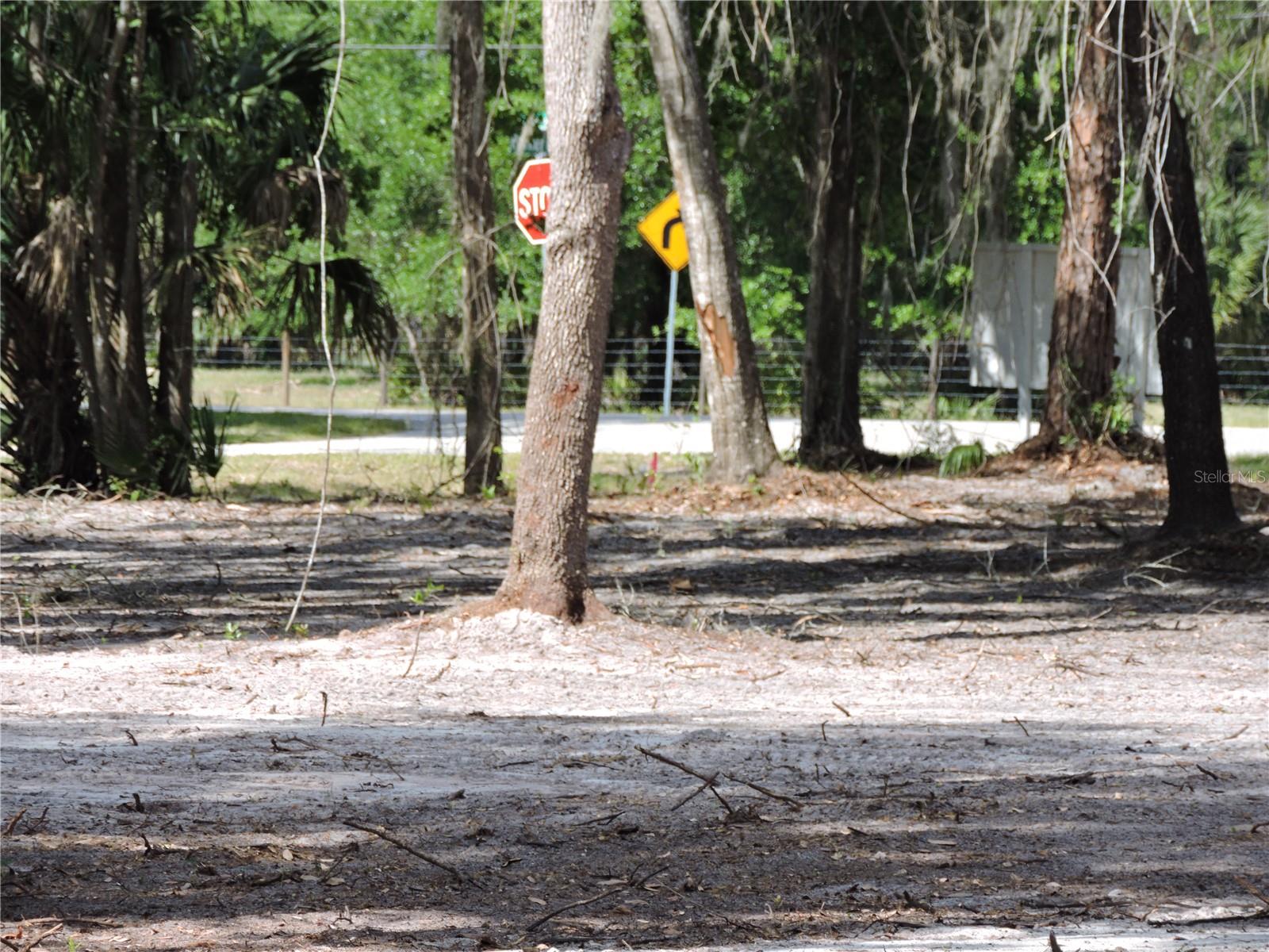 Image 7 of 10 For County Road 309