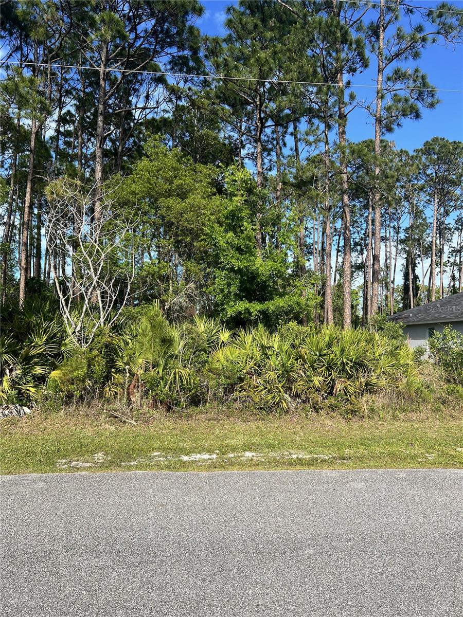 Details for 153 Ullian Trail, PALM COAST, FL 32164