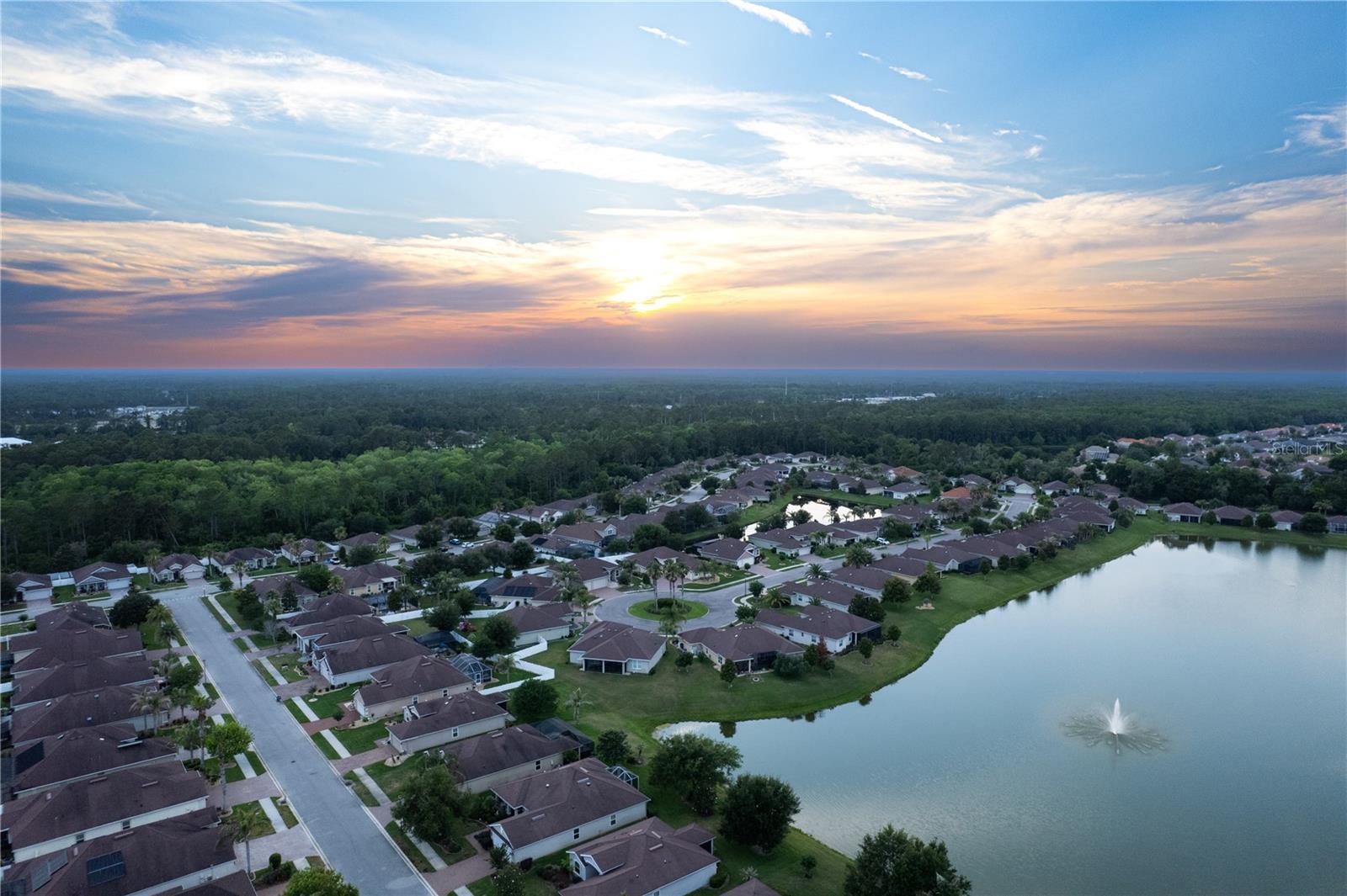 Image 29 of 30 For 113 Arena Lake Drive