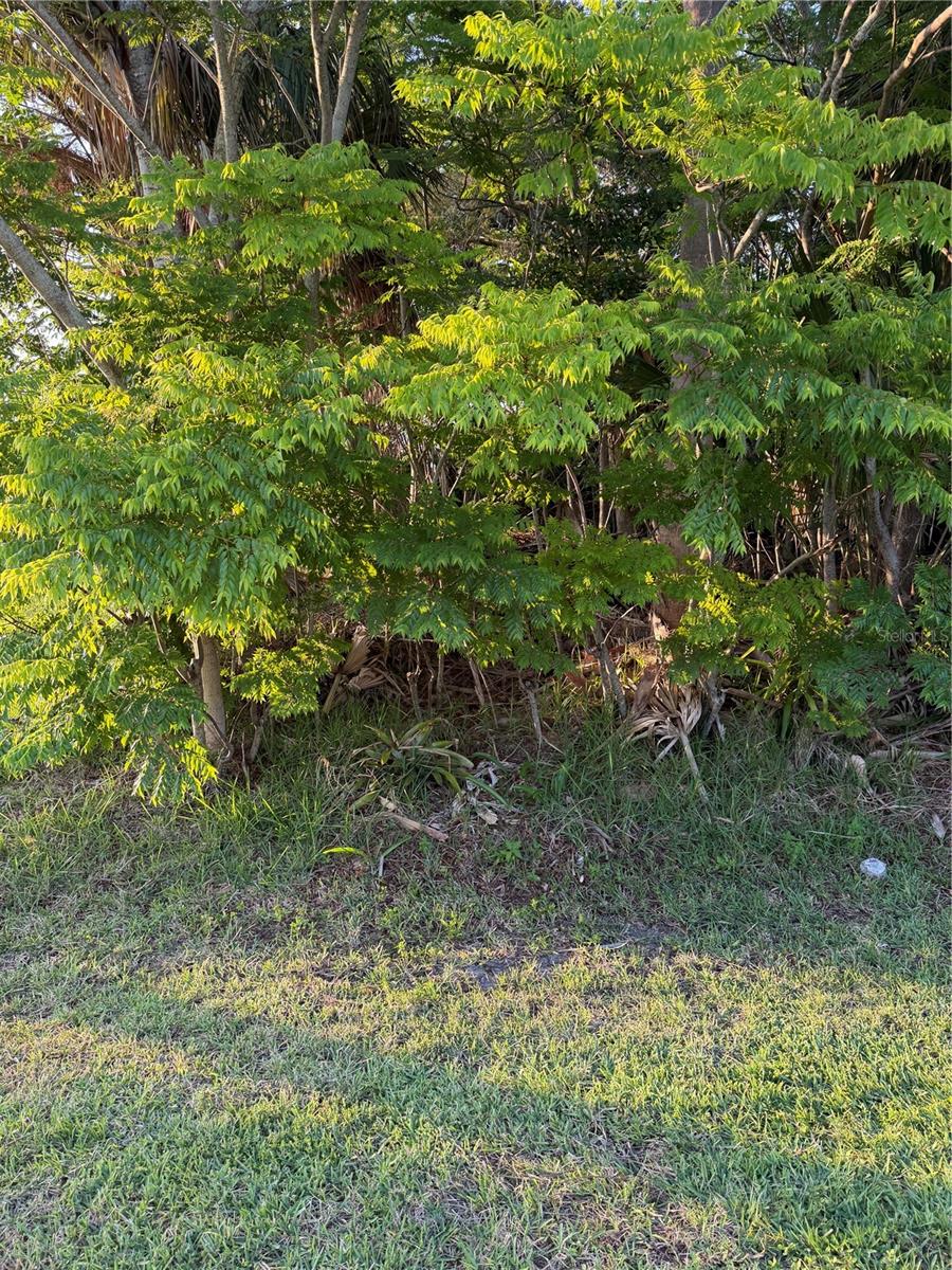 Details for 3 Largo  , PALM COAST, FL 32137