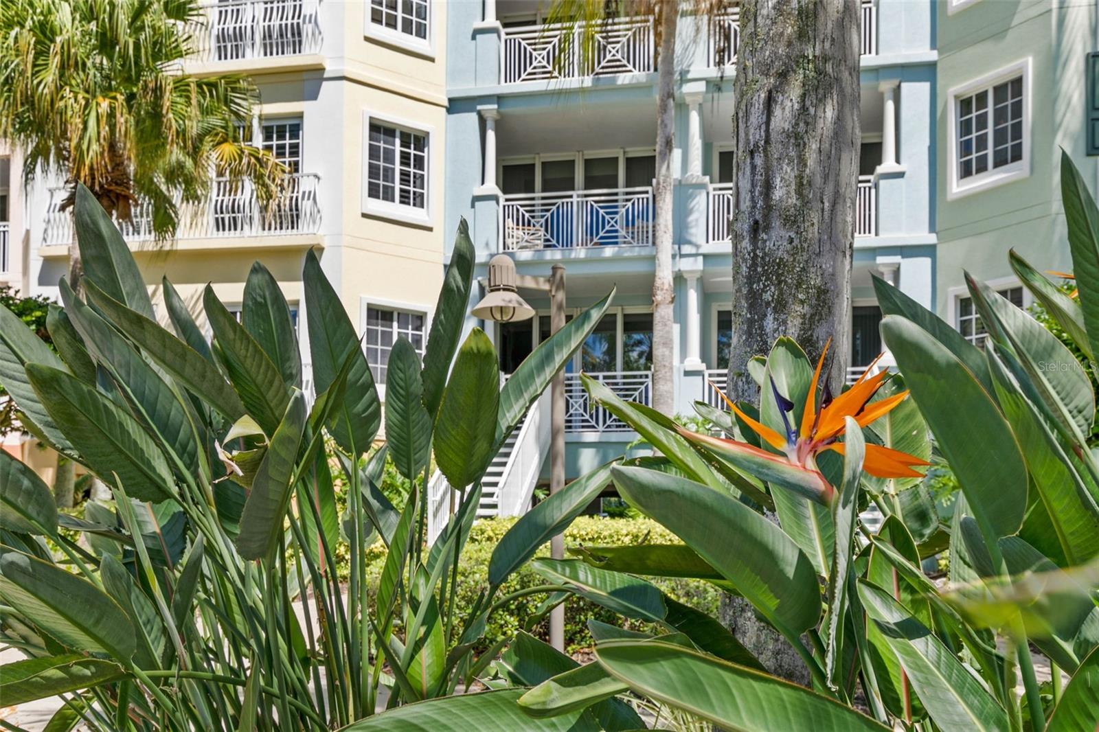 Image 64 of 74 For 102 Yacht Harbor Drive 371