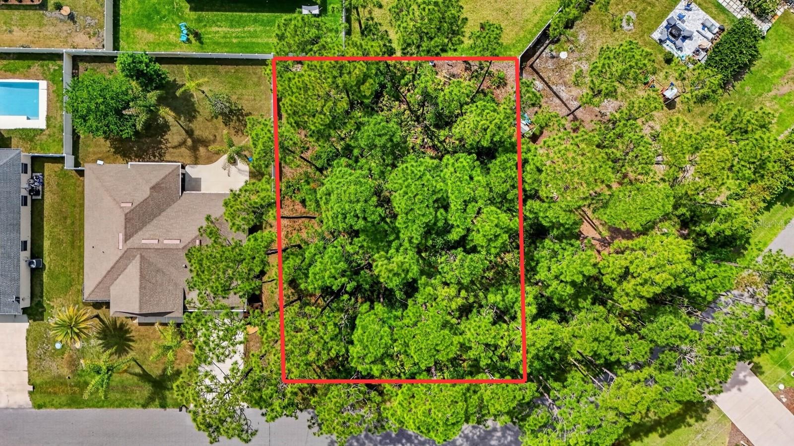Image 11 of 26 For 46 Evans Drive