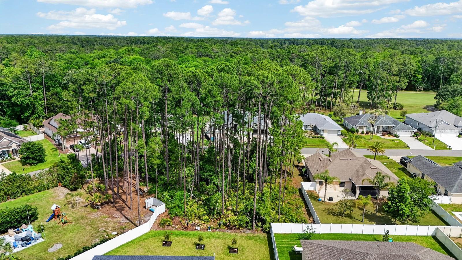 Image 7 of 26 For 46 Evans Drive