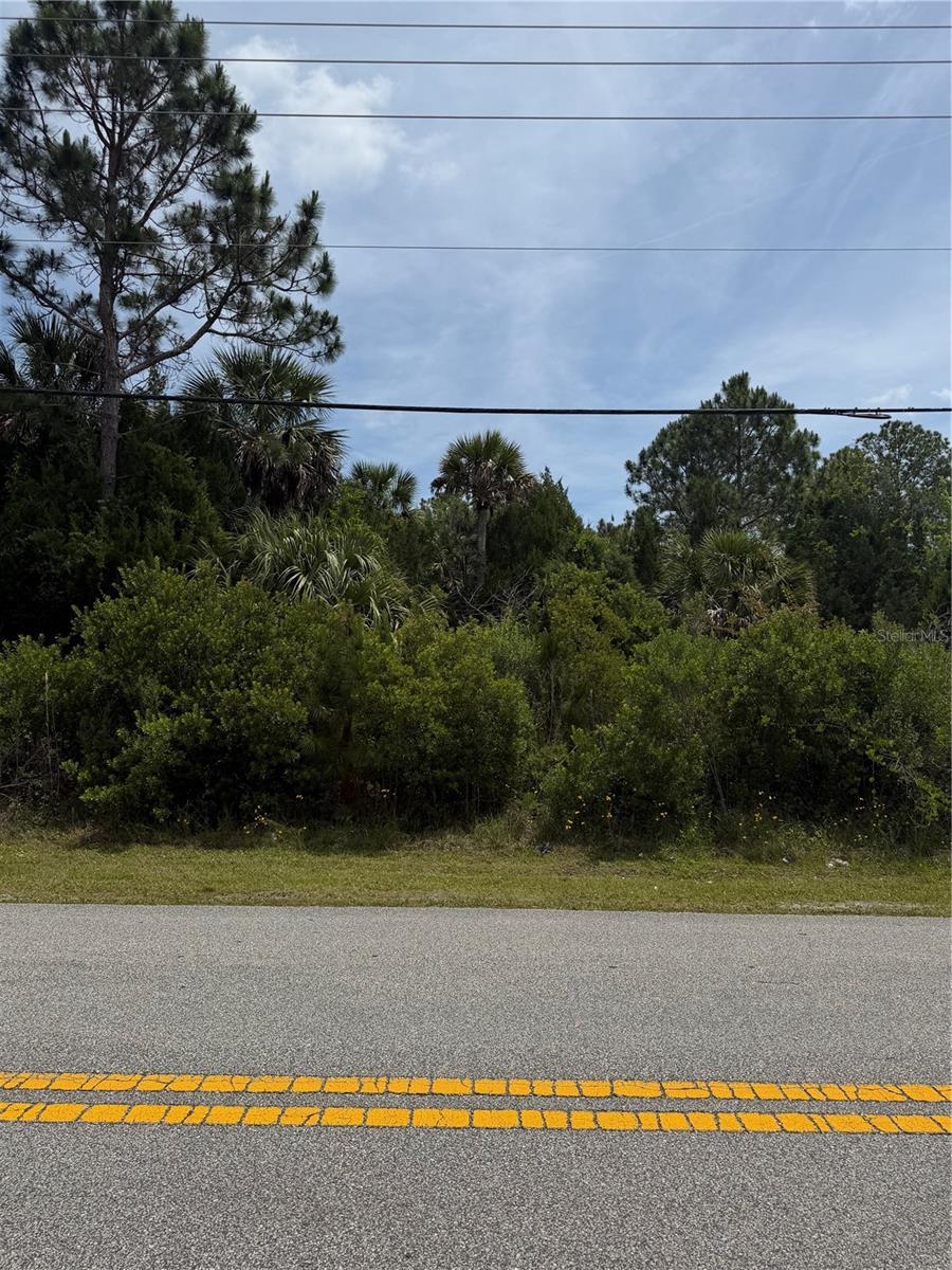 Image 4 of 4 For 174 Bird Of Paradise Drive