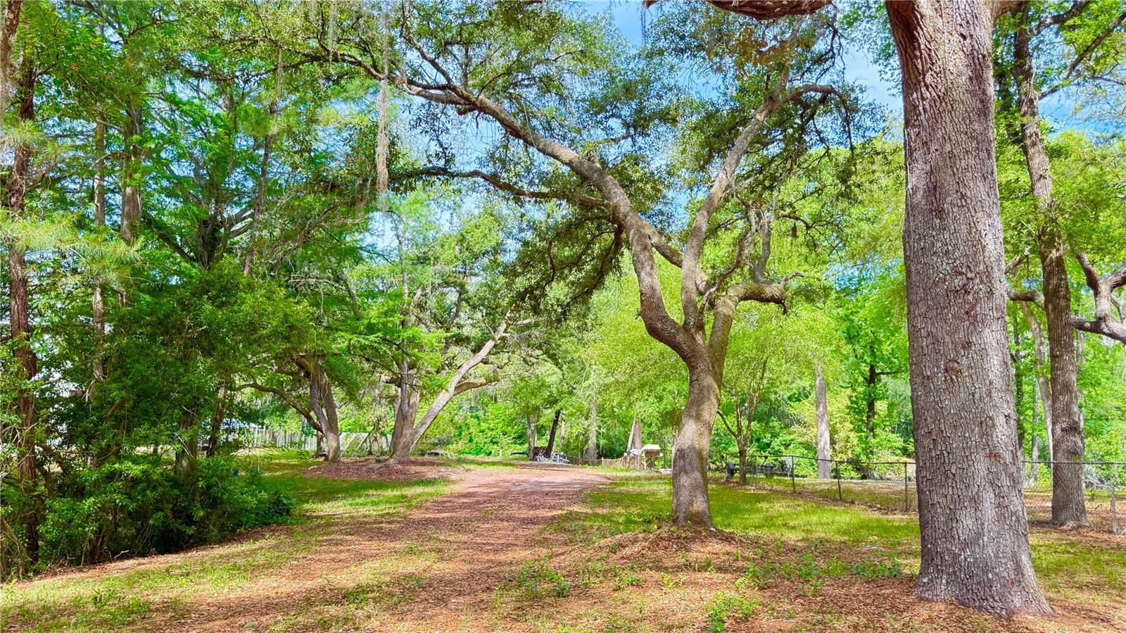 Details for 2905 Creek Street, MIDDLEBURG, FL 32068