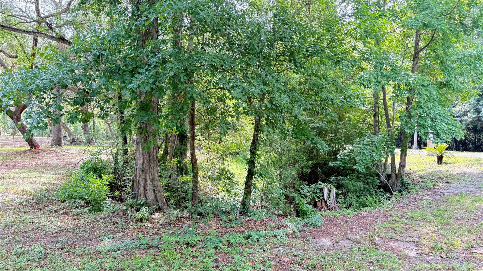 Image 10 of 48 For 2905 Creek Street